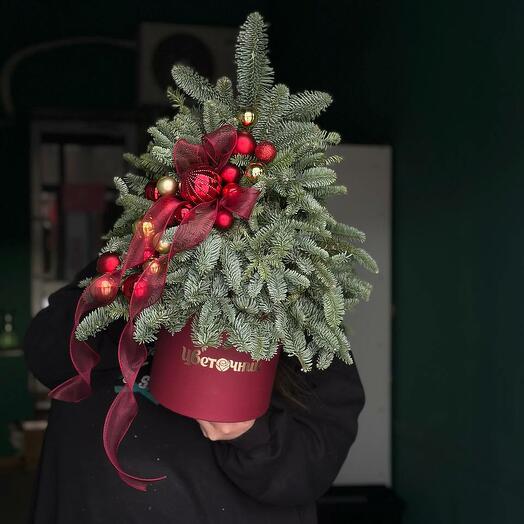 Новогоднее вдохновение