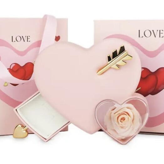 Preserved Rose heart box pink