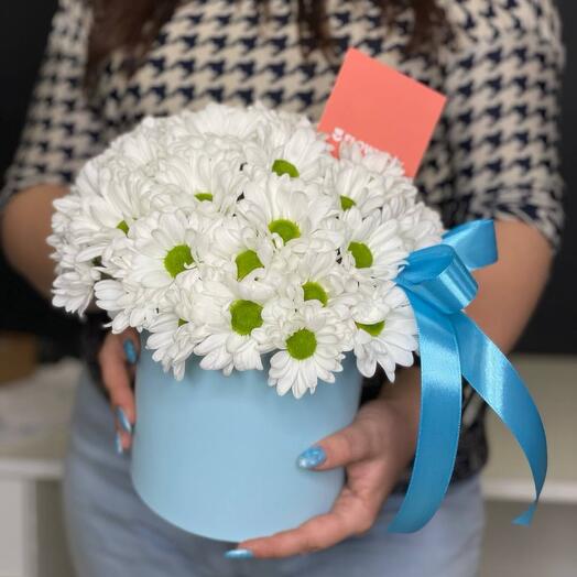 Daisies in a box