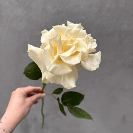 DG flowers