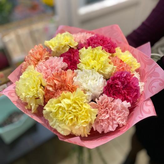 Mezcla de Dianthus