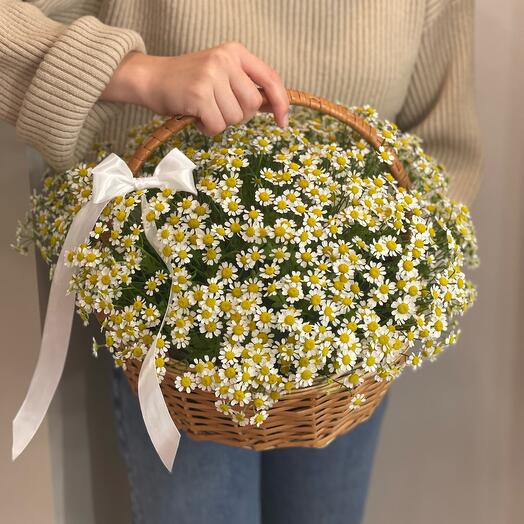 Flower story