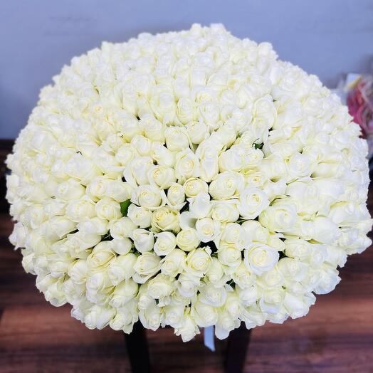 501 white rose box arrangement