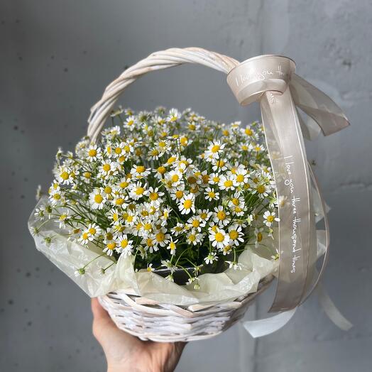 Корзина с ромашками