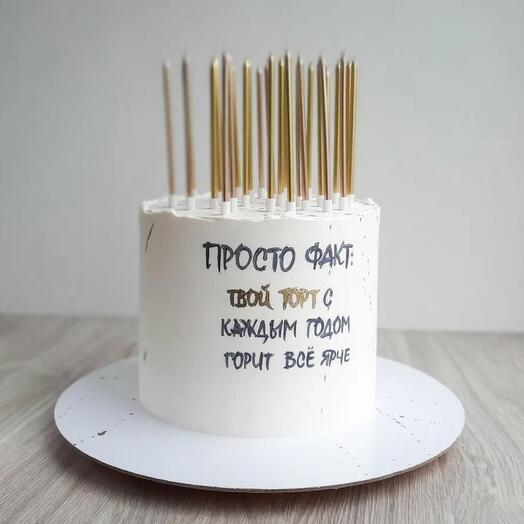 Стильный торт на день рождения🎂со свечами. Любой вес