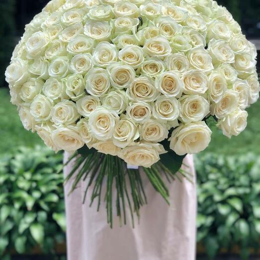 BOUQUET OF 200 White Roses  "Symphony of tenderness"