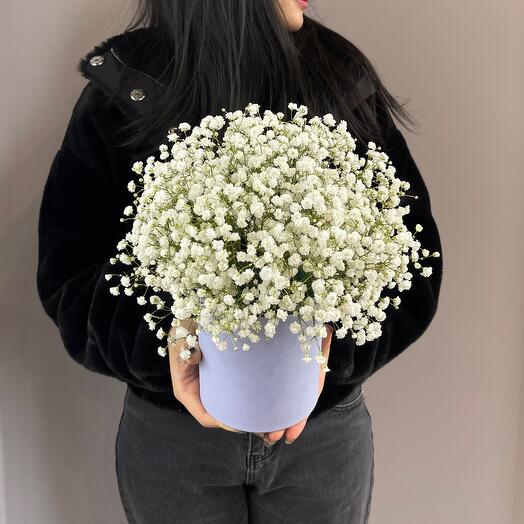 Bloom flower