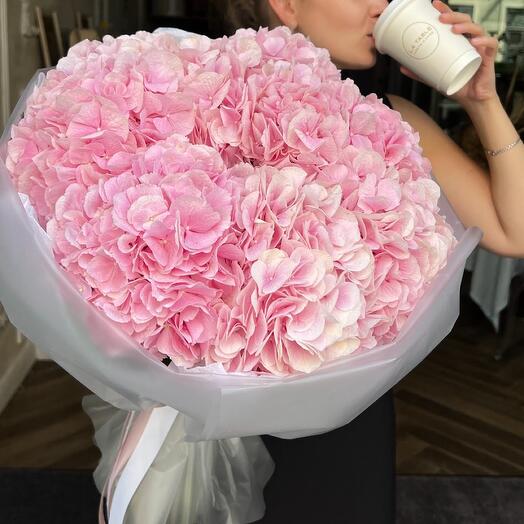 Bouquet of pink hydrangeas