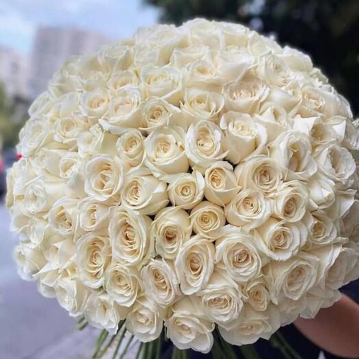 Bouquet of 101 white roses premium