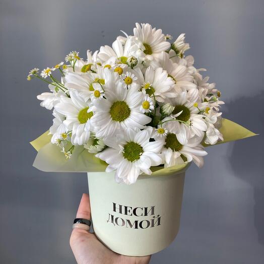 A box of daisies