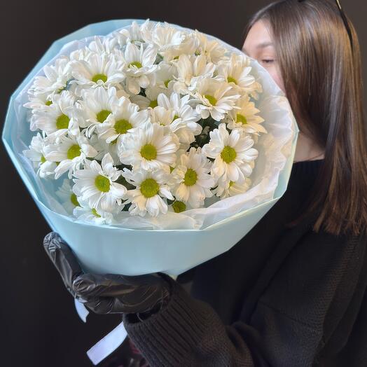 Моно букет из ромашек