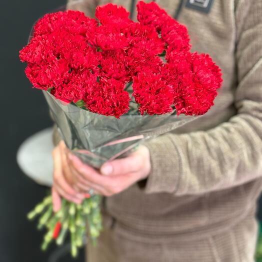 Гвоздики 20штук