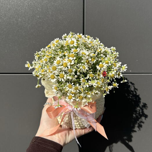 GTA Flowers