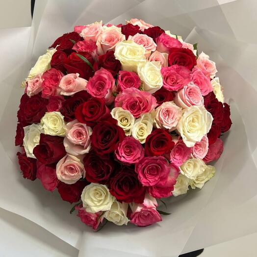 101 Rosa Kenia