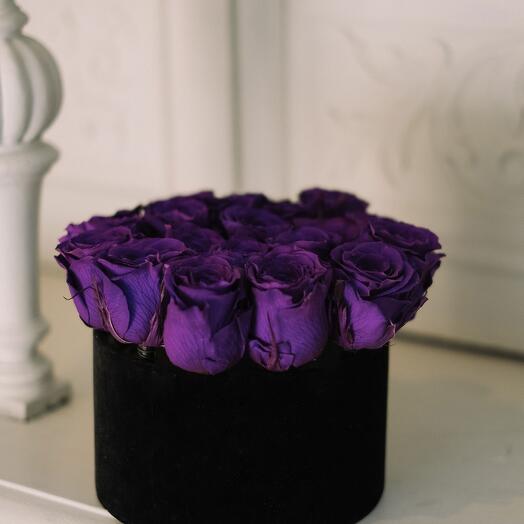 Purple roses in a box