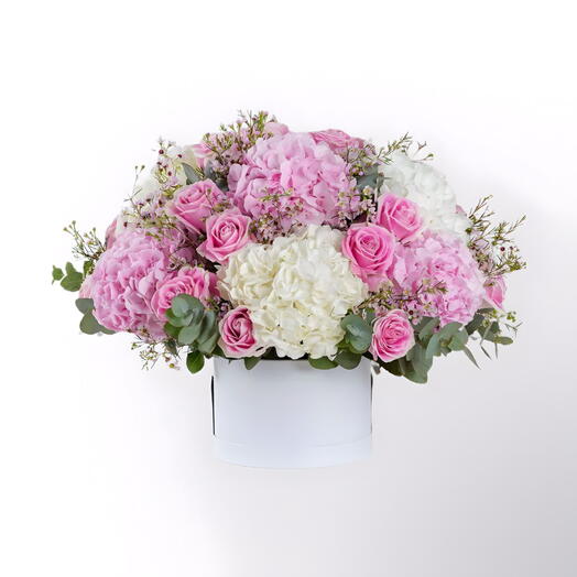 Pink Petals and White Delight: Hydrangea Harmony in a Box -1