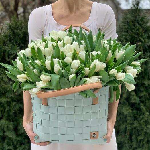 Tulips in the Bag "Clear Morning"