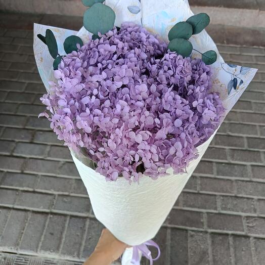 Hortensia estabilizada