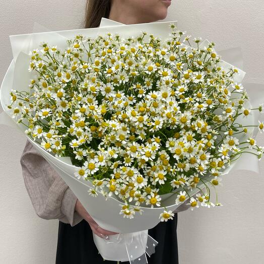 Букет из ромашек кустовых 15 шт