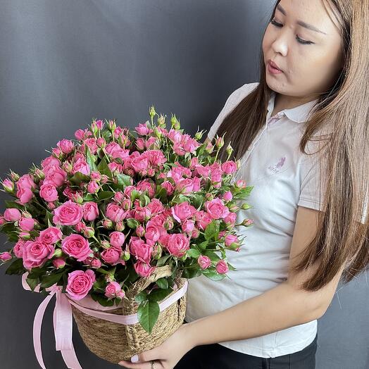 София в кашпо от Bloomera