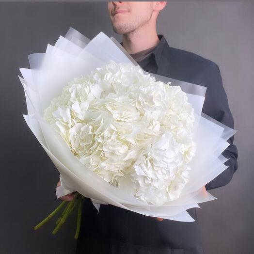 Ramo de 5 hortensias blancas