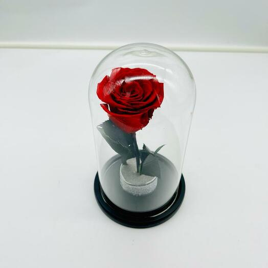EVERLASTING RED INFINITY ROSE SMALL