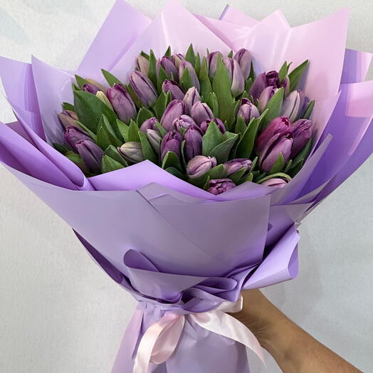Purple Tulip Elegance