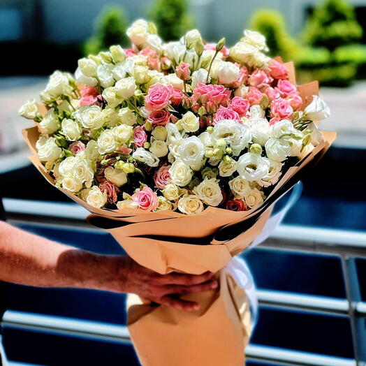 White and Pink Rose