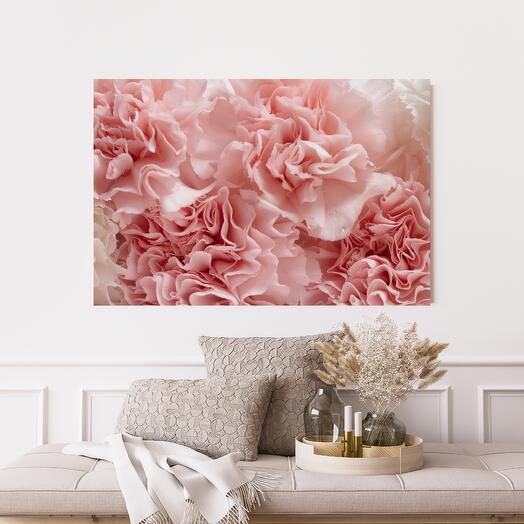 Pink Dianthus - Photography Print