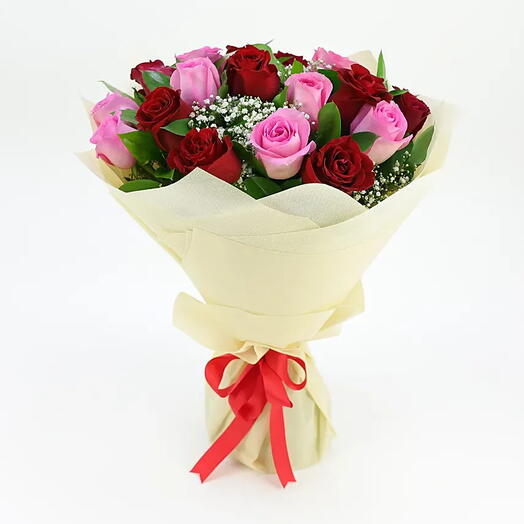 Pink and Red Harmony: Bouquet of 20 Roses