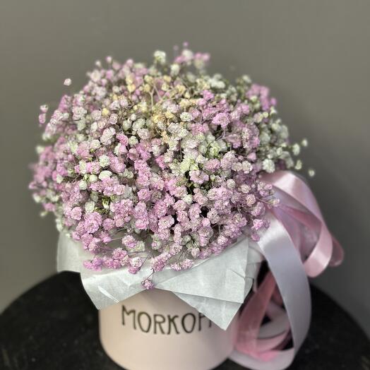 Morkoffka