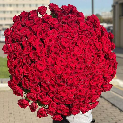 Flower dream