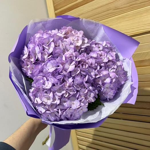Гортензия 3 шт 💜