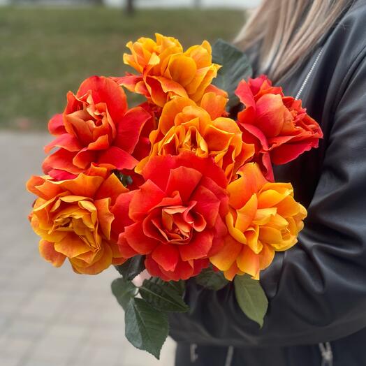 7 огненных французских роз