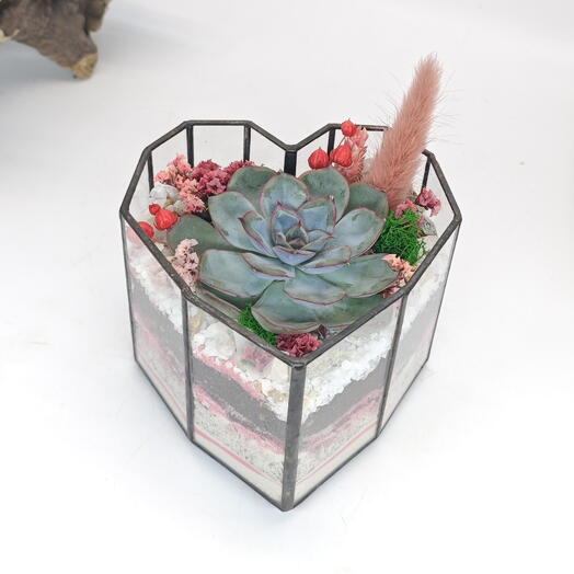 Florariums Florandglass