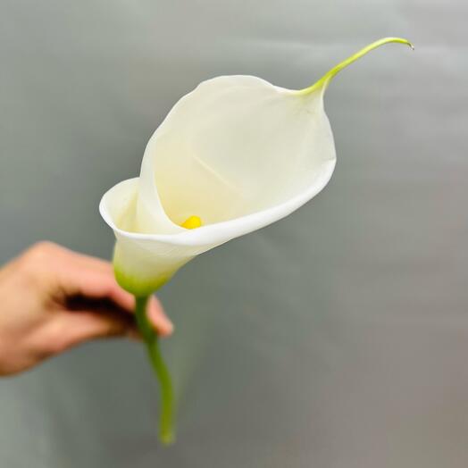 ML_flowers