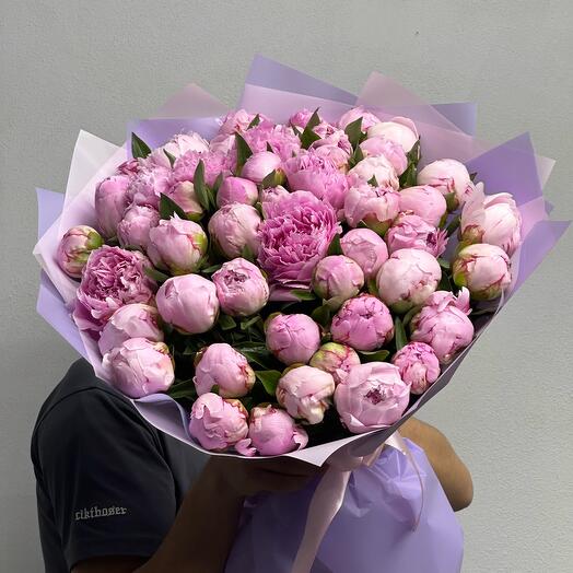 51 peonía rosa
