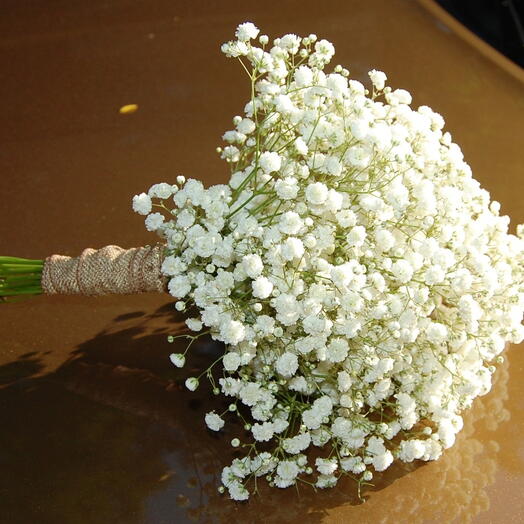 Gypsophilia bridal bouquet