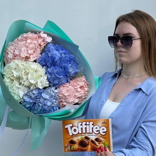 Комбо из 5 гортензий и Тоффифи