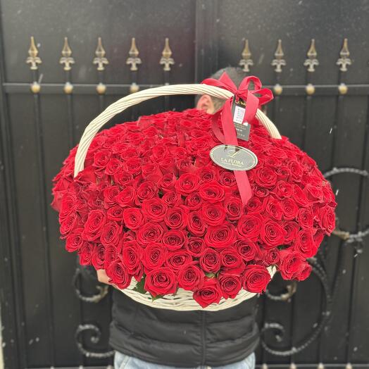 200 roses in basket