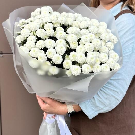Букет «Ньютон»