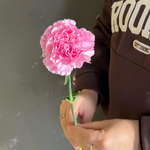 Flora Decor