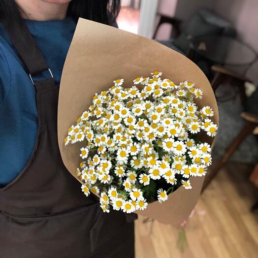 BEAUTY FLOWERS