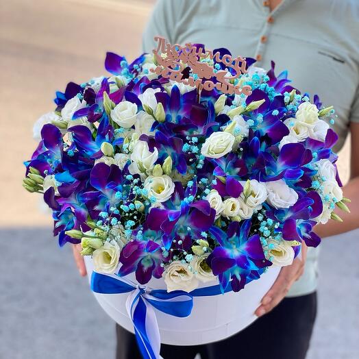 White and blue box