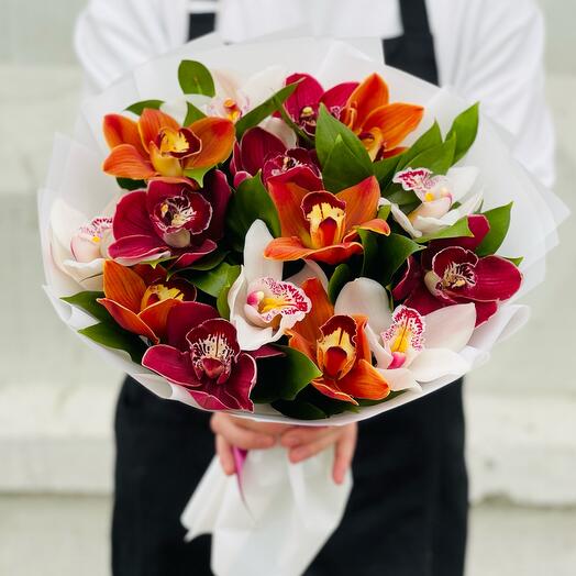 A mix of royal orchids