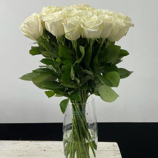 Solo Fiore