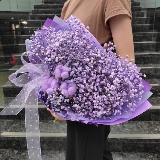 Ramo de gypsophila lila S