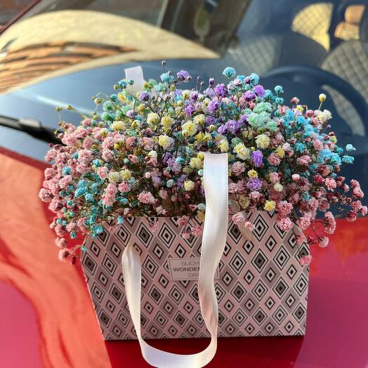 Gypsophila in her purse