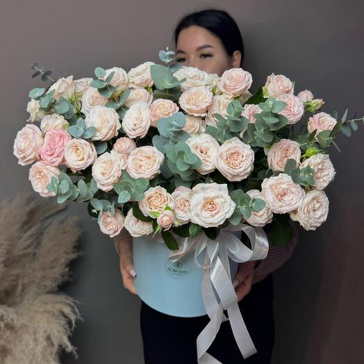 Пионовидные кустовые бомбастики