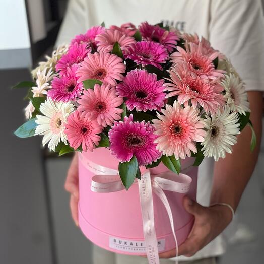 55 Gerbera in Box